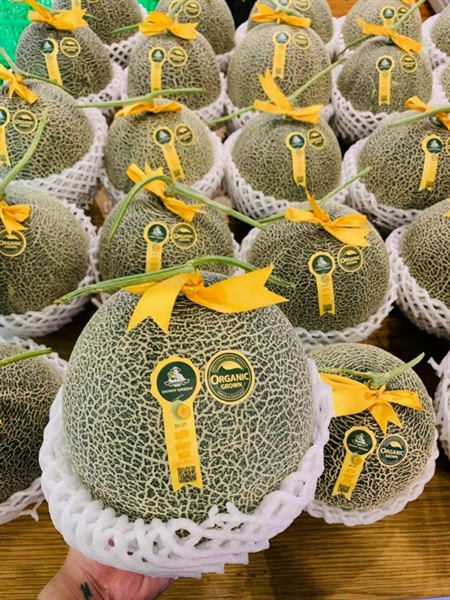 Dưa lưới biển Hằng Nga ( SeaMoon ) Dannygreen