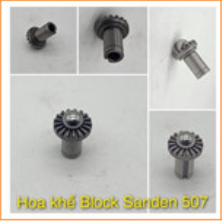 Hoa khế Block sanden 507