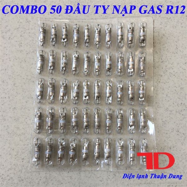 Đầu ty nạp gas R12