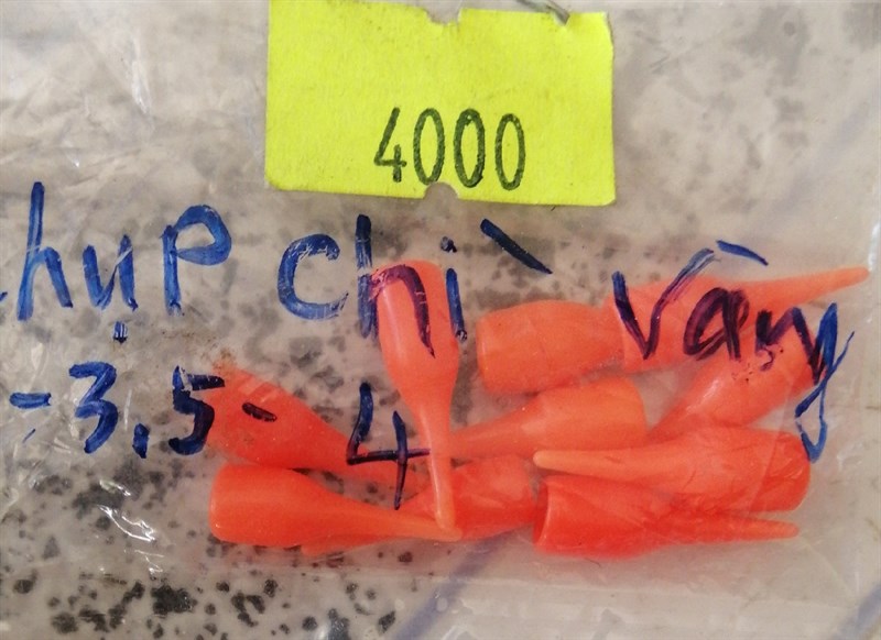 CHỤP CHÌ VÀNG