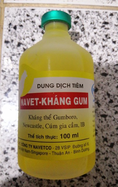 KT-GUM nước trong