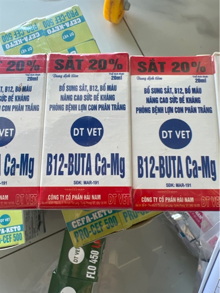 DT VET-B12-BUTA Ca-Mg 20ml
