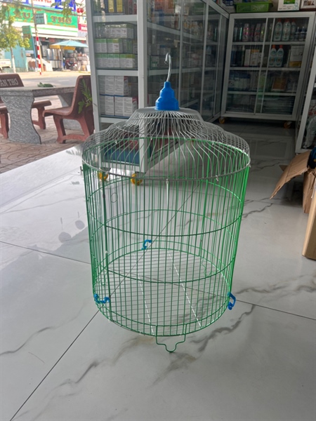 Lồng cu màu đại số 2 4 tất