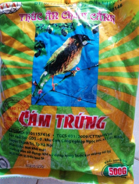 CÁM TRỨNG SỌC XANH