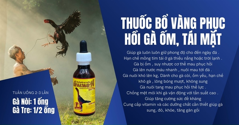 Thái Sâm bổ