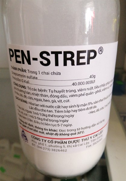 PEN-STREP(pi tổng hợp)(300-500kg thể trọng)
