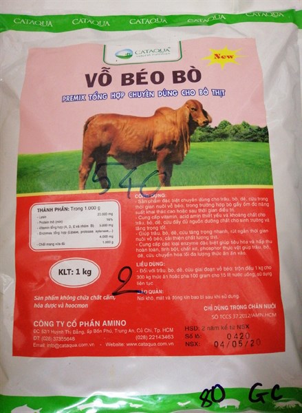 VỖ BÉO BÒ