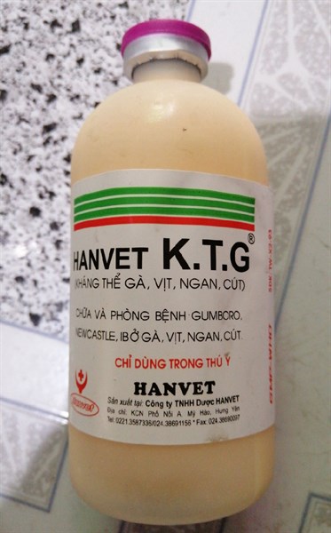 KTG