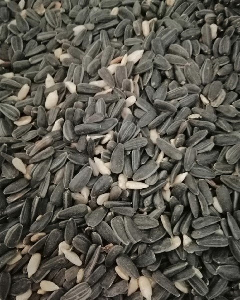 HẠT HƯỚNG DƯƠNG