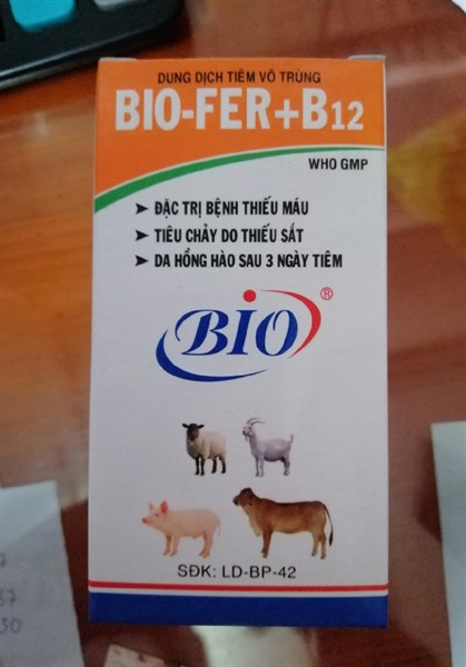 BIO-FER+B12. 100ml