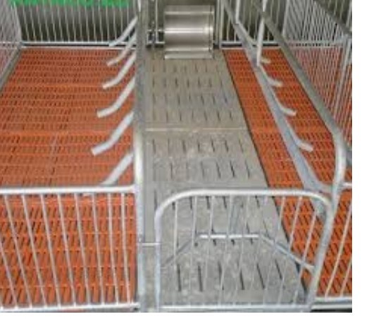 chuồng ép 2 vách 1m9x2m2+đal