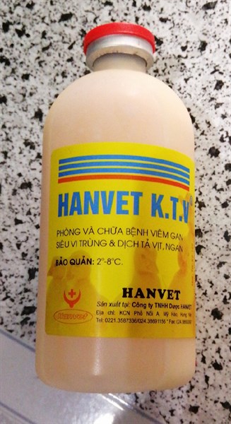KTV