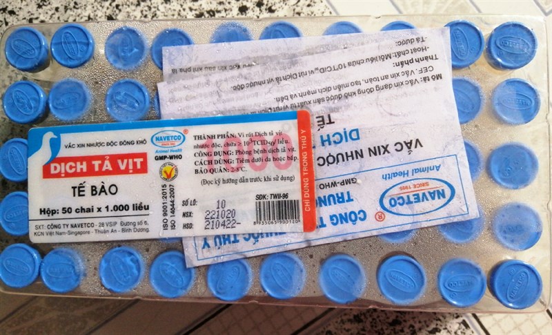 DỊCH TẢ VỊT 1000 liều