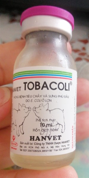 TOBACOLI