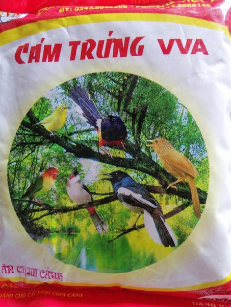 CÁM TRỨNG ĐỎ