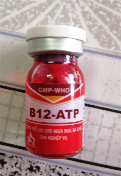 B12-ATP 5ml