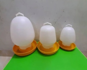 BÌNH THƯỜNG cam-đỏ 4 LÍT