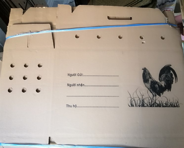 Thùng giấy gà lớn (22x60xc40cm)