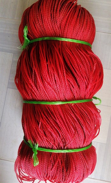 GÂN ĐỎ ZIN