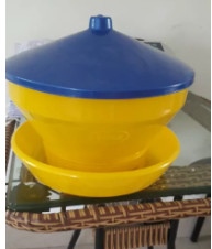 máng gà con nắp xanh