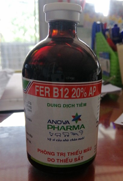 FER B12 20%AP 100ml