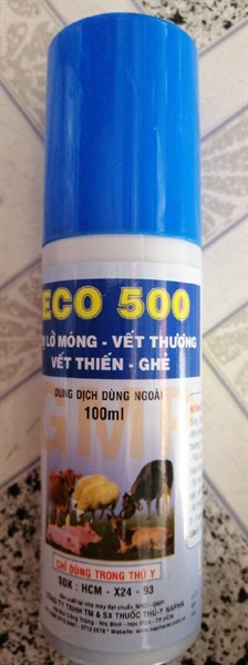 ECO 500