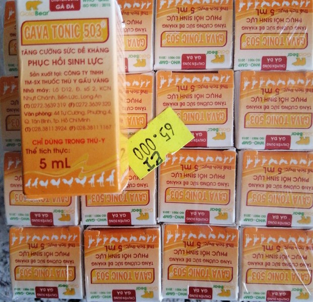 GAVA TONIC 503 tăng lực
