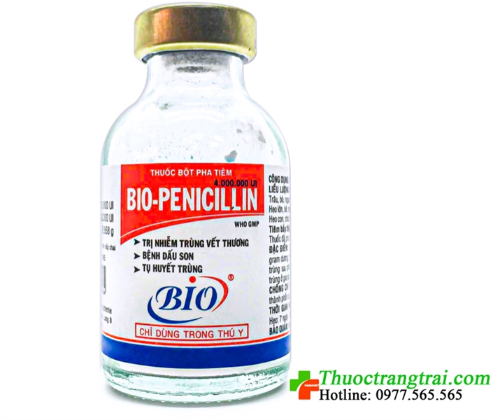 BIO-PENICILLIN 4.000.000 UI 20ML