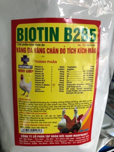 MPV-BIOTIN B2B5 100g