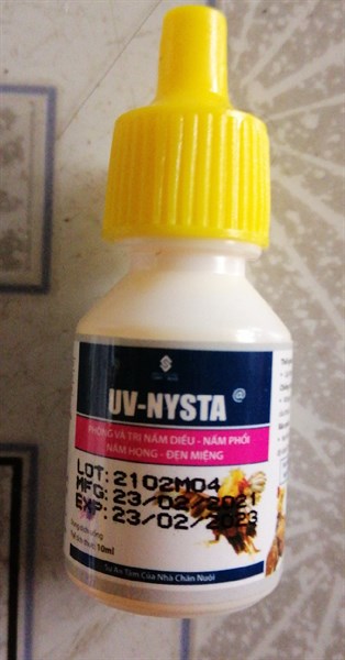 UV-NYSTA @10ml (nấm diều, nấm phổi hộng, đẹn miệng)