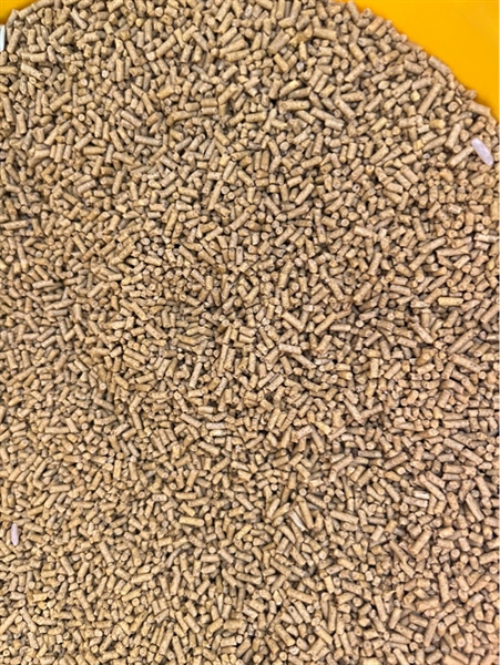 Cám gà lẽ cao cấp