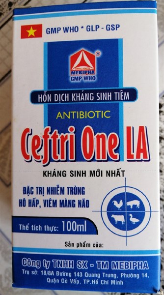 Cejtri one la