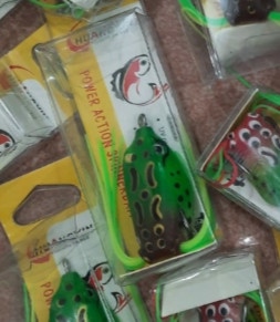 NHÁI HƠI CÓ RÂU RẺ