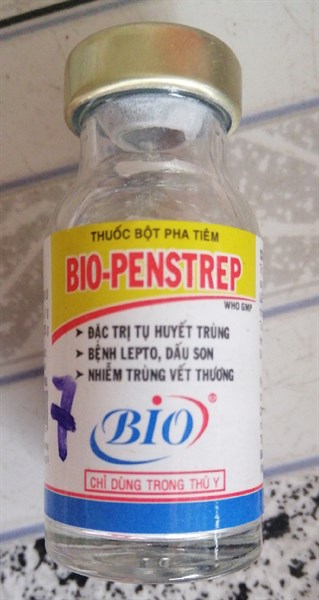 PENSTREP