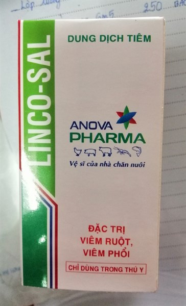 LINCO-SAL 100ml