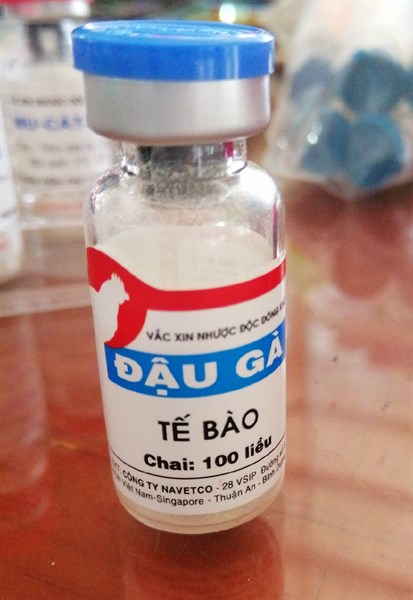 Đậu gà 100 Liều tiêm
