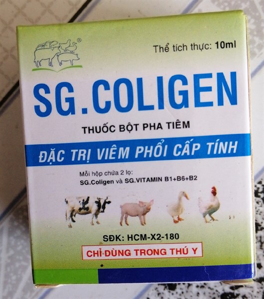SG, COLIGEN