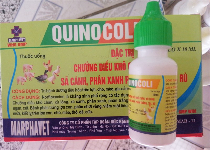 MAR-QUINOCOLI 10ml