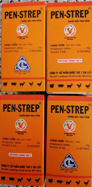 PEN-STREP