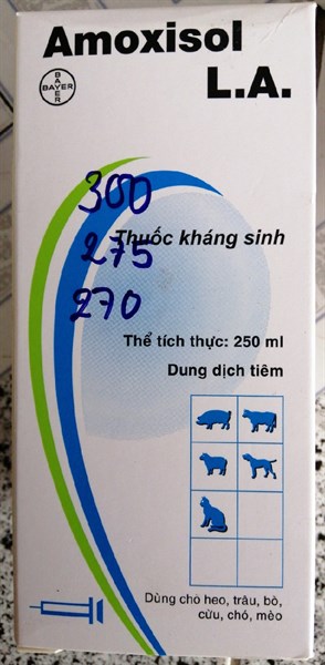 Amoxisol 100ml