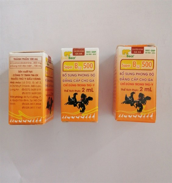 GV- SUPER B12 500.2ml