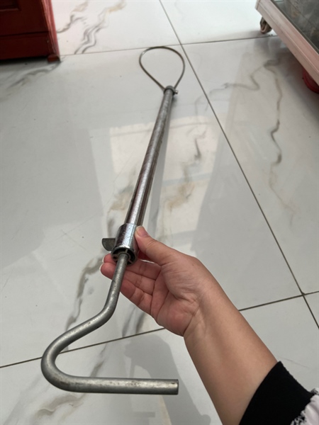 Cây bắt heo đở đẻ
