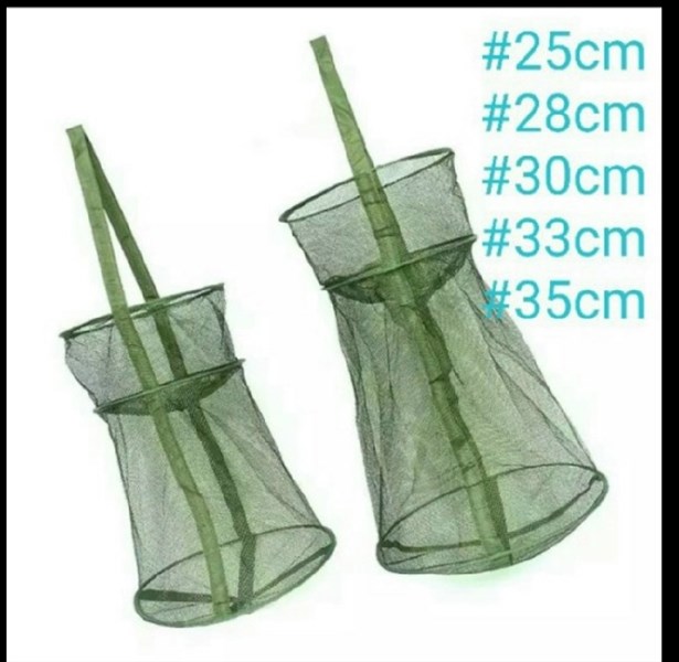 Gọng cá 2 vành xanh 33cm