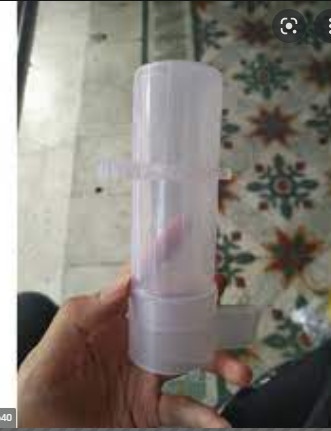 Cống nước lớn cho chim 1 cái