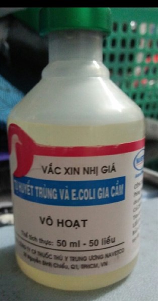 THT-ECOLI 50 Liều
