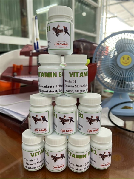 THÁI-VITAMIN B1 hủ 100v