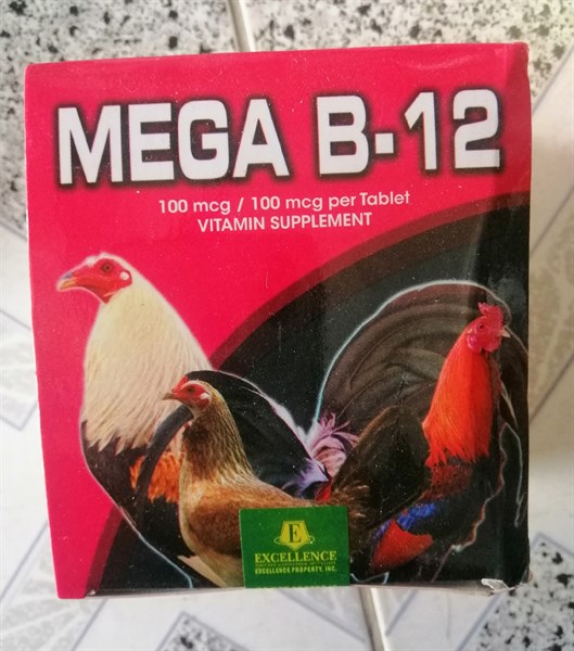 THÁI-MEGA B-12 Tăng máu