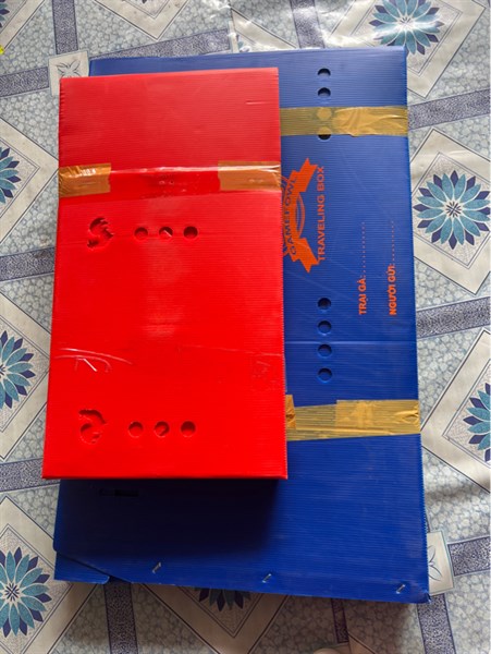 Thùng gà tre nhựa ( Nhỏ 25x60xc40cm)