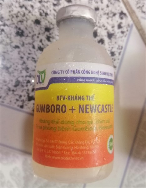 KT NEW-GUM 50ml nước trong