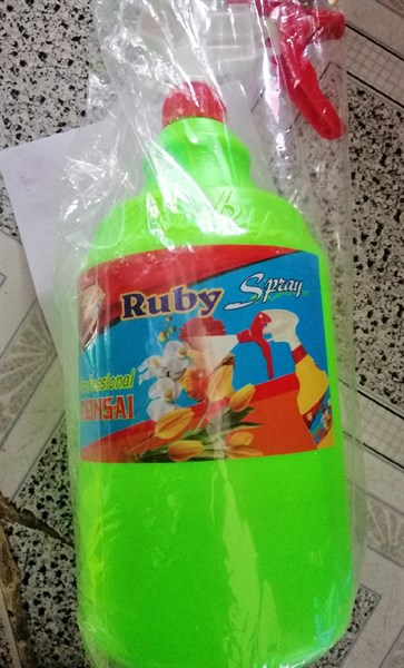 BÌNH XỊT RUBY